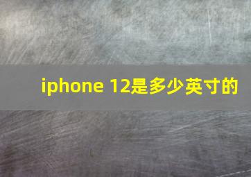 iphone 12是多少英寸的